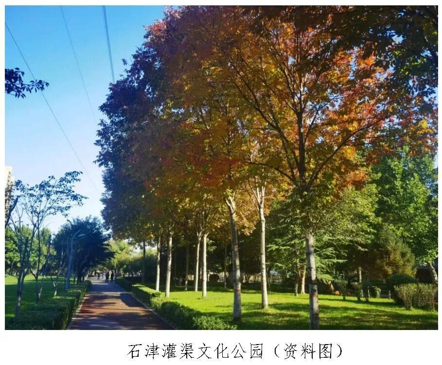 石家庄发布2026年城区赏秋地图 白蜡银杏黄栌分批登场最佳观赏期各异