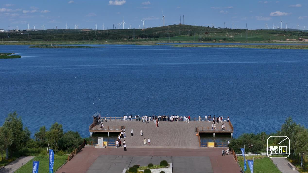 张家口康保迎来候鸟南迁大军 康巴诺尔湖成为燕赵候鸟迁徙通道核心驿站